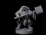 Warlike Tortle J