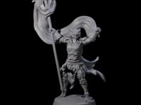 Valiant Dragonborn Crusader G