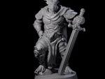 Valiant Dragonborn Crusader H