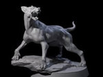 Barking Dog