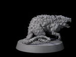 Infested Rat