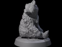 Lonely Bear Cub