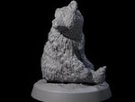 Lonely Bear Cub