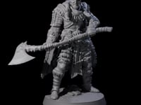 Half Masked Berserker C