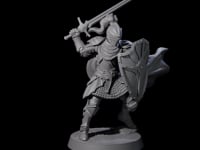 City Knight C