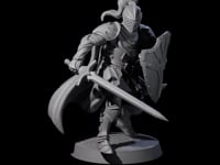 City Knight D