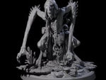 Forest Hag C
