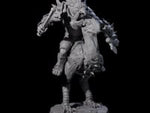 Charging Troll Rider on Axe Beak C
