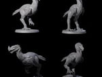 Four Hunting Axe Beaks