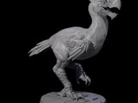 Hunting Axe Beak A