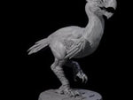 Hunting Axe Beak A
