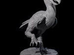 Hunting Axe Beak B