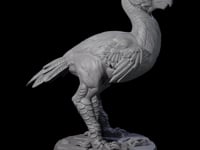 Hunting Axe Beak C