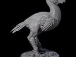 Hunting Axe Beak C
