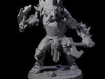 Ironkeep Troll C