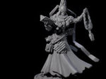 Learned Undead Scholar D