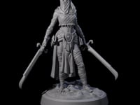 Mysterious Desert Duel Wielding Swordswoman