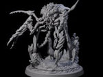 Chitinous Kruthik C