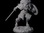 Brave Satyr Fighter C