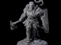 Determined Frowning Paladin