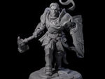 Determined Frowning Paladin
