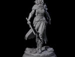 Stalwart Human Paladin