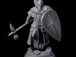 Holy Stalwart Human Paladin