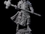 Stormswept Elf Paladin
