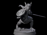 Indomitable Valkyrie Warrior