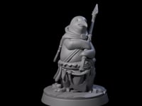Stalwart Dohwar Lancer