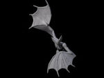 Weird War German Flapping Vampire Spawn F