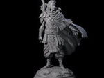 Wandering Elf Paladin