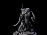 Zealous Human Crusader D