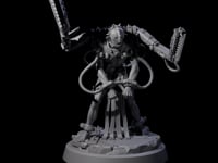 Tormented Cyborg Penitent D