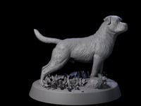 Vigilant Guard Dog A