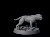 Vigilant Guard Dog C