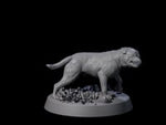 Vigilant Guard Dog C