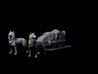 Arctic Sled Dogs