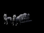 Arctic Sled Dogs