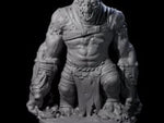 Decaying Troll Berserker