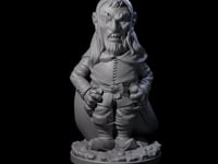 Sneaky Gnome Thief C