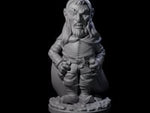 Sneaky Gnome Thief C