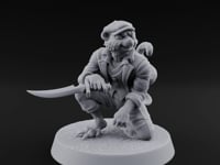 Roguish Tabaxi Pirate