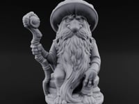 Beard Dragging Gnome Druid