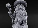 Beard Dragging Gnome Druid