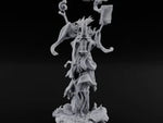 Robes Trailing Lich Shaman B turntable