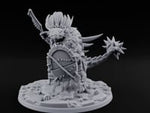 Shield And Flail Wielding Lizardfolk Warrior A turntable