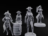 Ruling The Seas Pirates turntable