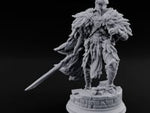 Night of the Owl Human Paladin turntable