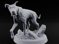 Collar Jangling Spooked Hound turntable